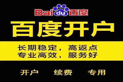 行业趋势下的SEM竞价代运营策略及成功实例